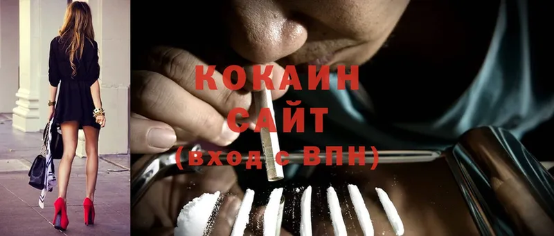 Cocaine Fish Scale  MEGA ССЫЛКА  Вологда  купить закладку 